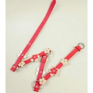 Red Flower Belt